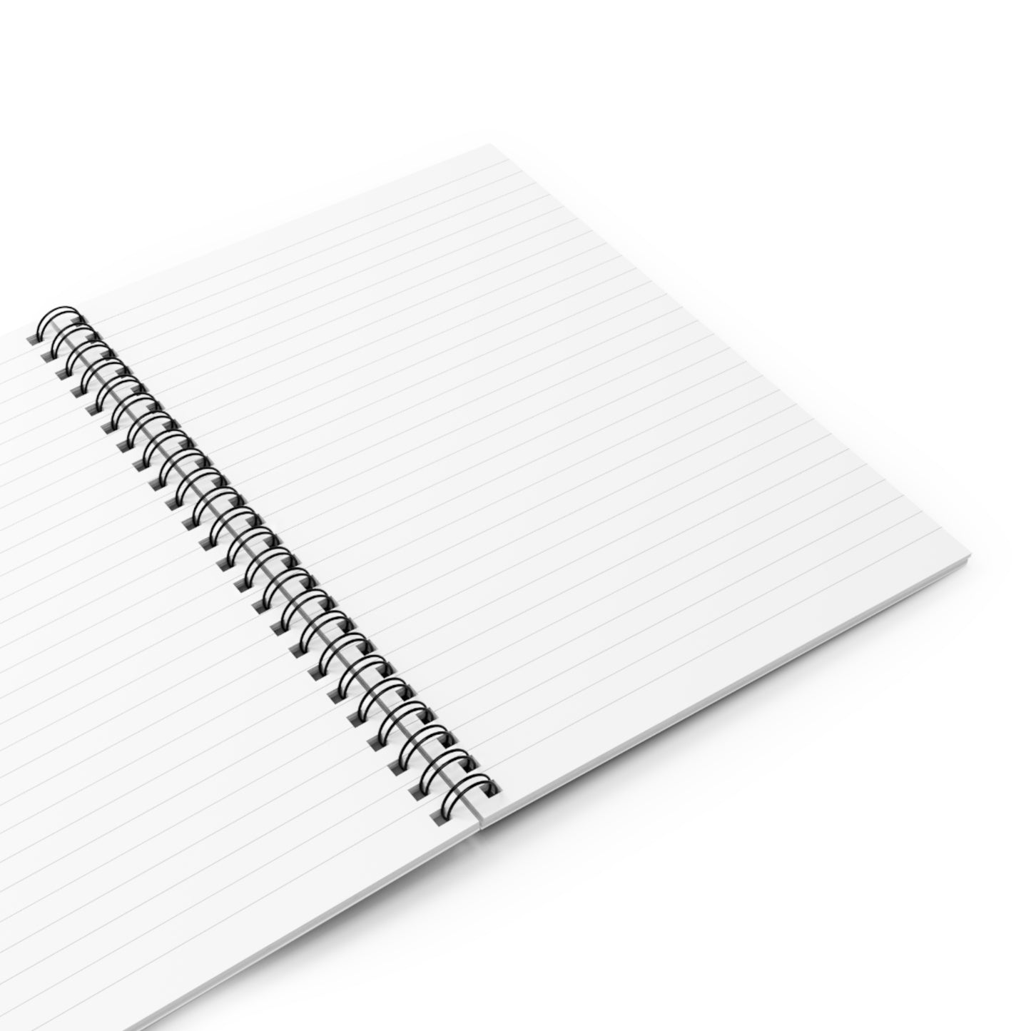 Gratitude/Vision Journal