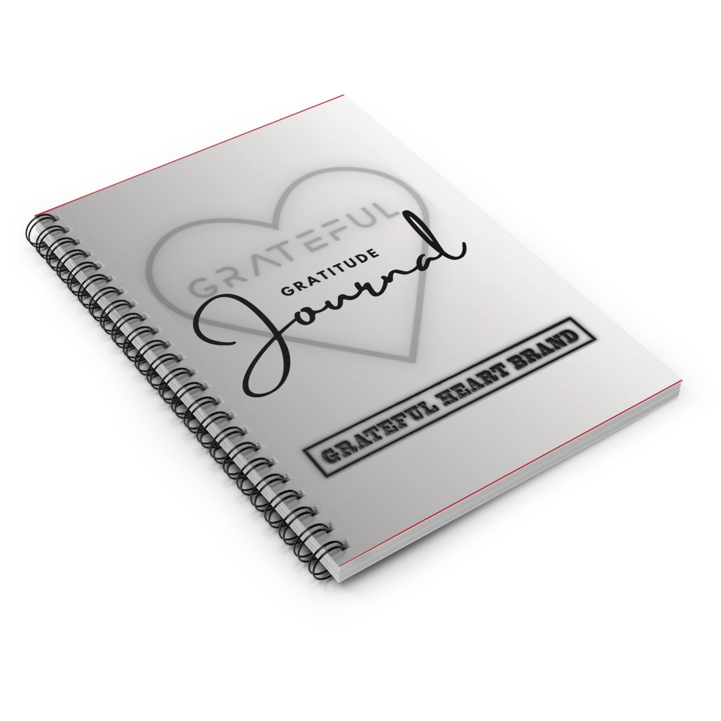 Gratitude/Vision Journal