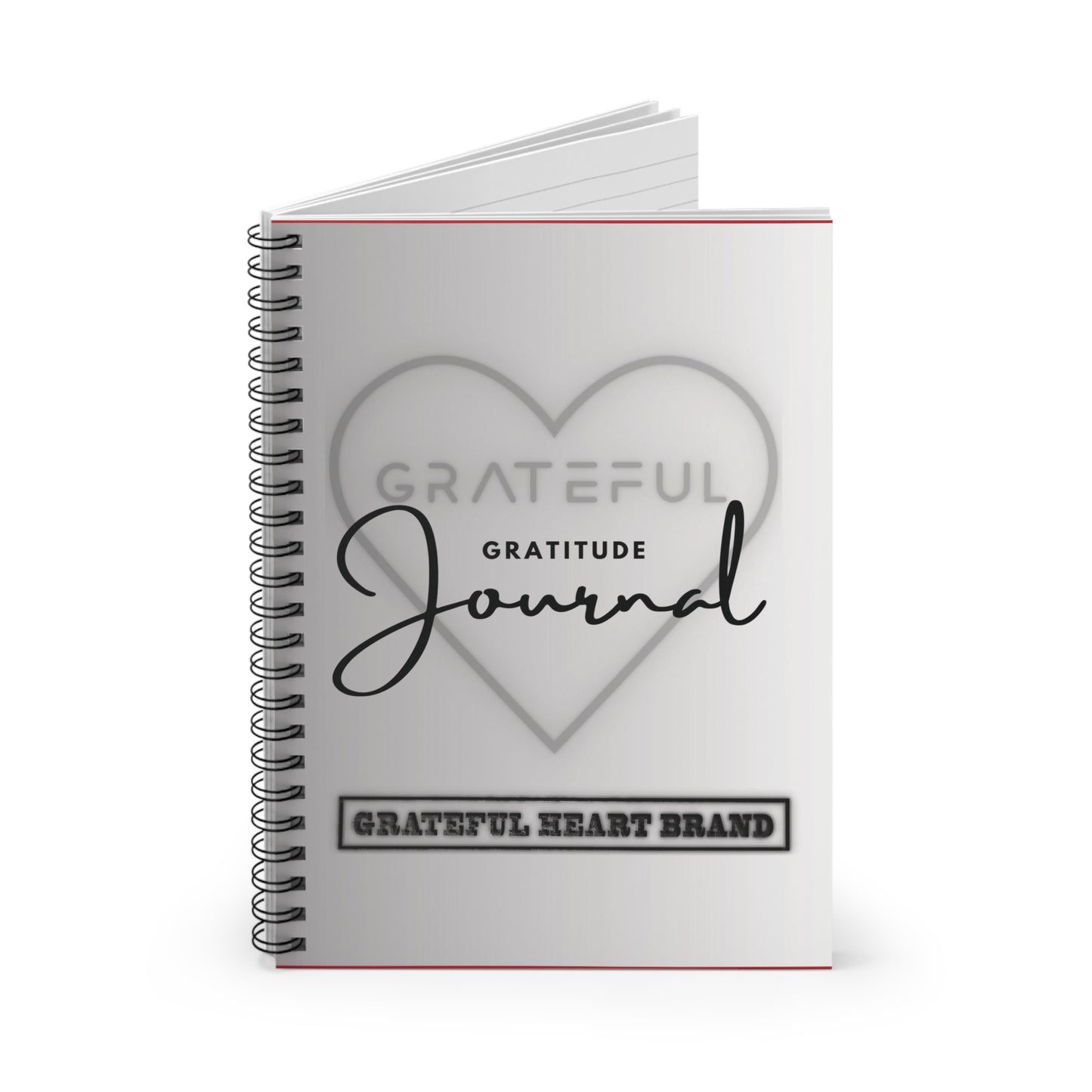 Gratitude/Vision Journal